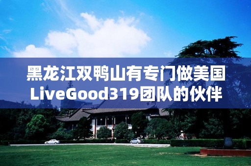 黑龙江双鸭山有专门做美国LiveGood319团队的伙伴吗