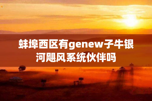 蚌埠西区有genew子牛银河飓风系统伙伴吗