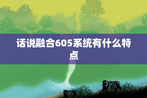 话说融合605系统有什么特点