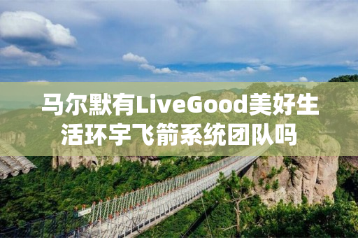 马尔默有LiveGood美好生活环宇飞箭系统团队吗