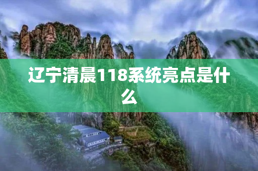 辽宁清晨118系统亮点是什么