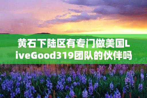 黄石下陆区有专门做美国LiveGood319团队的伙伴吗