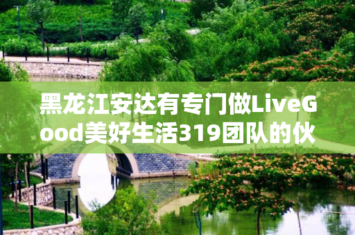 黑龙江安达有专门做LiveGood美好生活319团队的伙伴吗