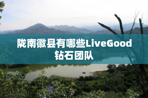 陇南徽县有哪些LiveGood钻石团队