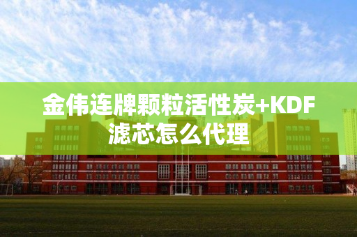 金伟连牌颗粒活性炭+KDF滤芯怎么代理