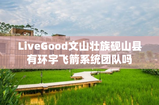 LiveGood文山壮族砚山县有环宇飞箭系统团队吗