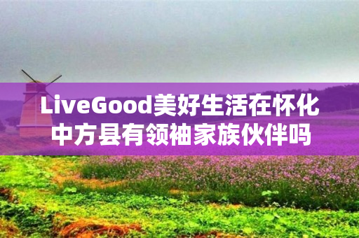 LiveGood美好生活在怀化中方县有领袖家族伙伴吗