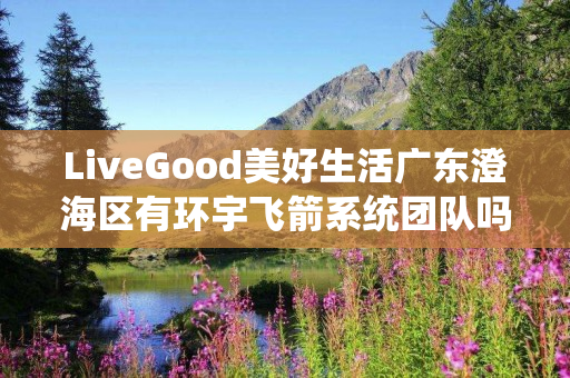 LiveGood美好生活广东澄海区有环宇飞箭系统团队吗