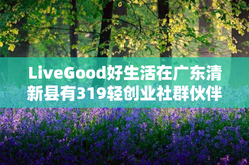 LiveGood好生活在广东清新县有319轻创业社群伙伴吗