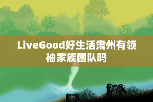 LiveGood好生活肃州有领袖家族团队吗